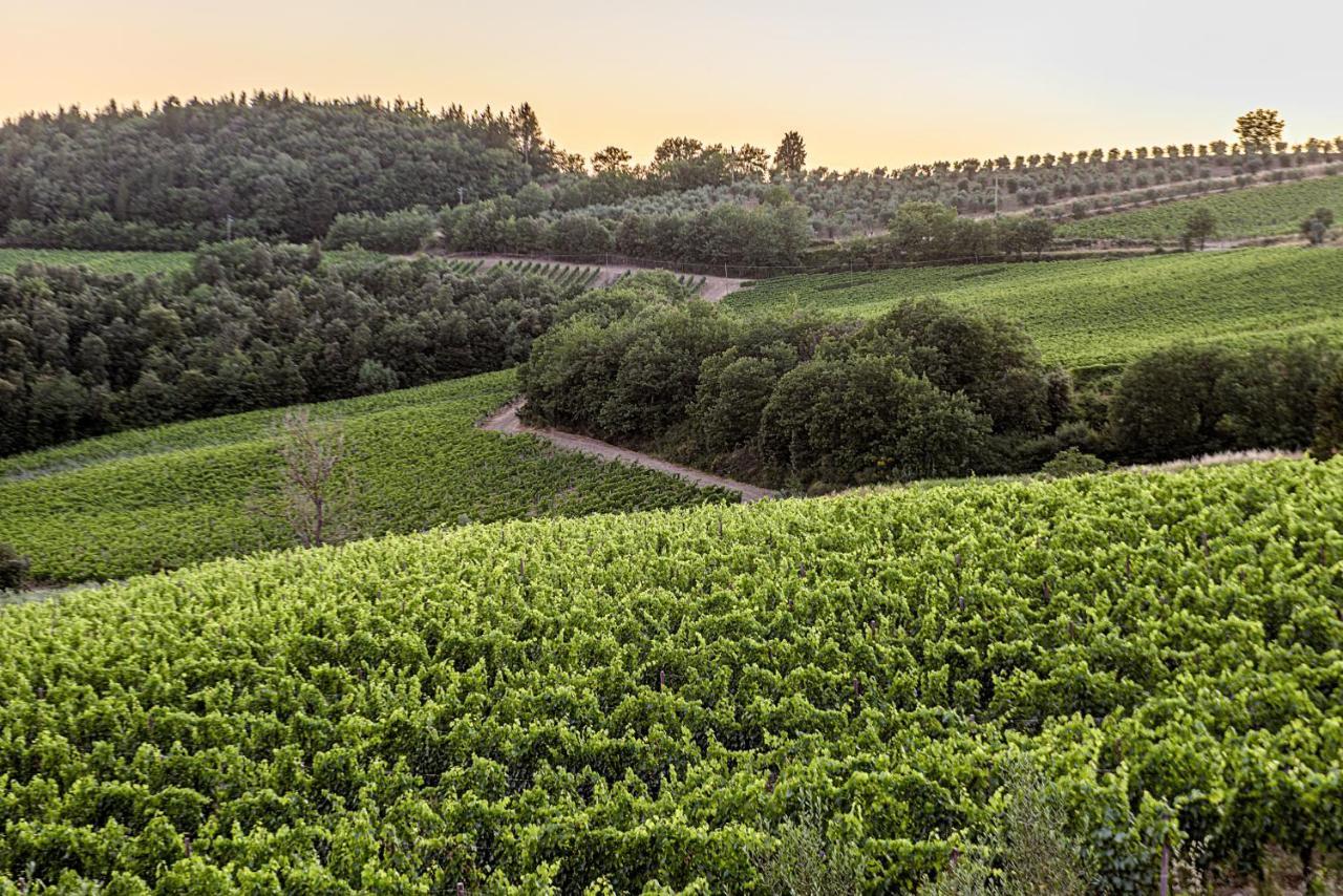 カステッリーナ・イン・キアンティ シエナ Agriturismo Casa Al Boscoヴィラ エクステリア 写真